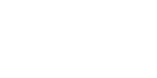 Steiner