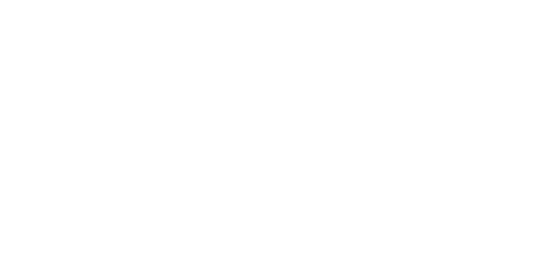 Chapuis Armes