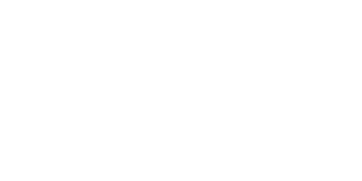 Holosun