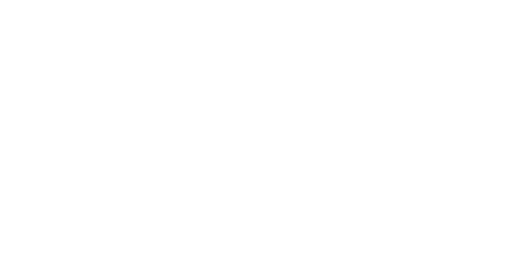 Primary Arms