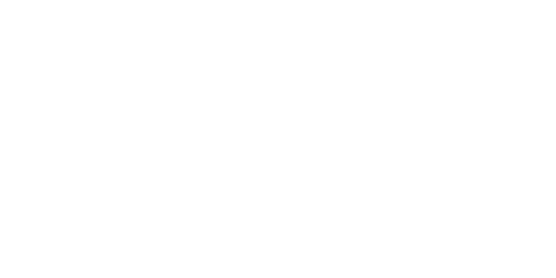 Steyr Arms