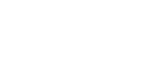 Vector Optics